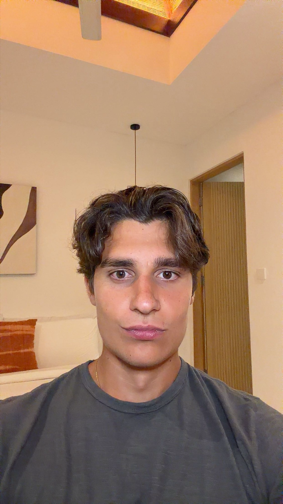 Selfie input